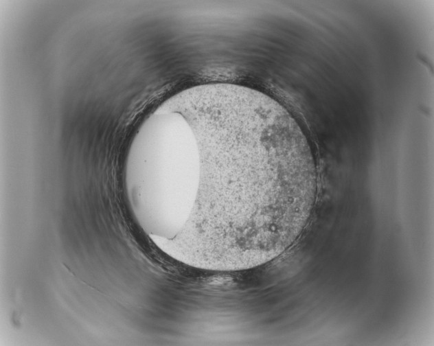 X0000102390162200808291431