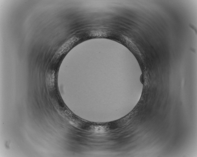 X0000102390163200808291431