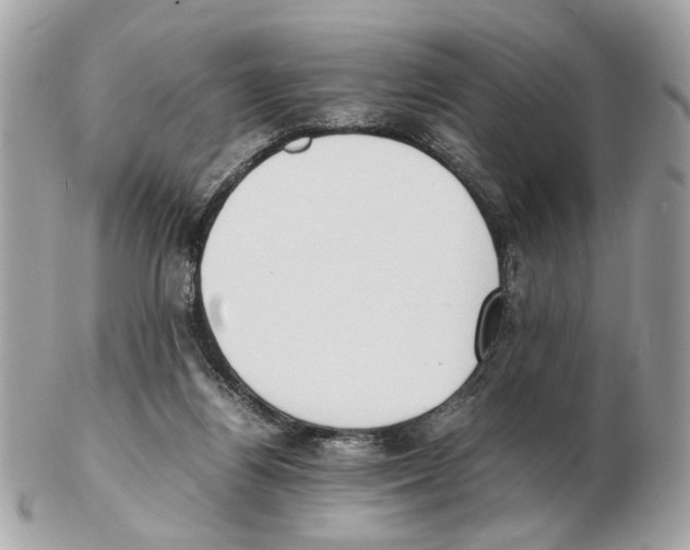 X0000102390164200808291431
