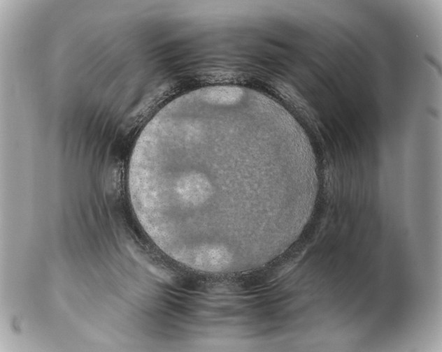 X0000102390165200808291431