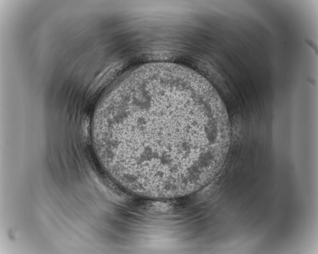 X0000102390166200808291431