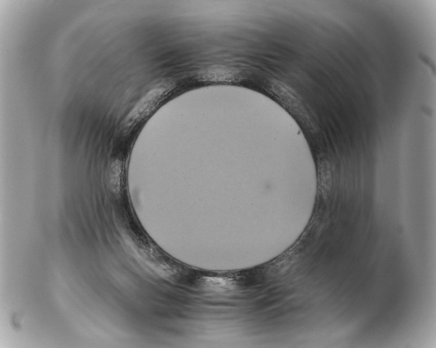 X0000102390167200808291431