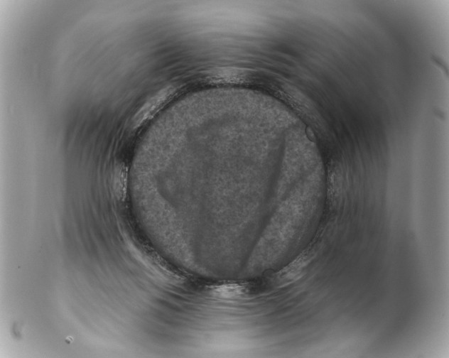 X0000102390168200808291431