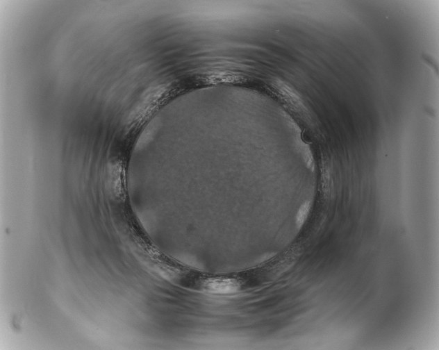 X0000102390169200808291431
