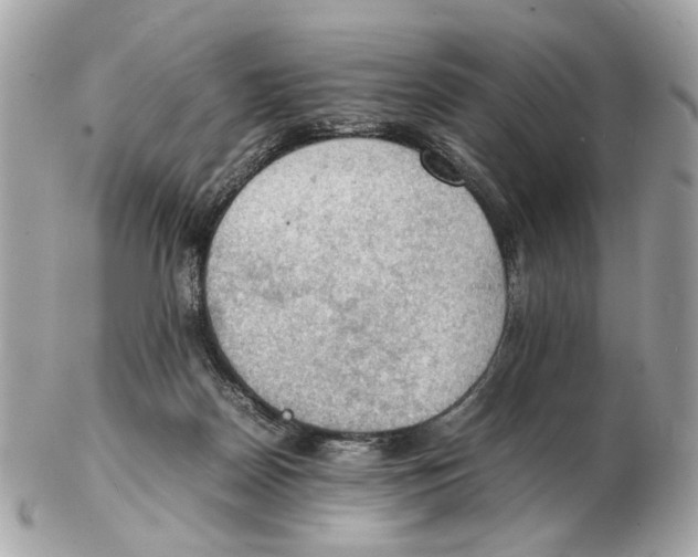 X0000102390170200808291431