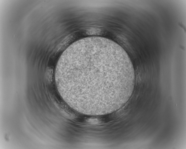 X0000102390171200808291431