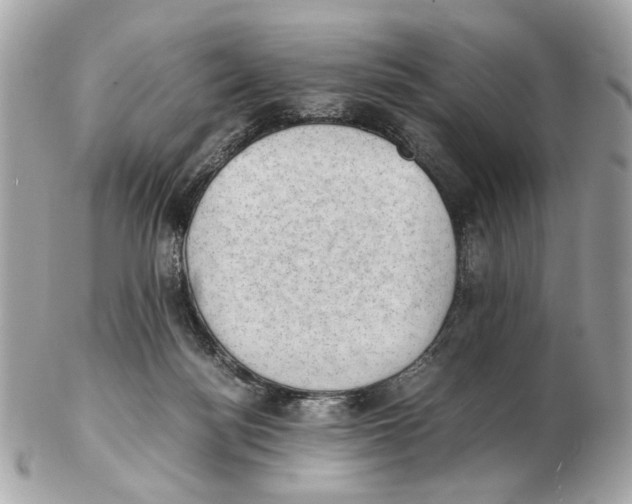 X0000102390172200808291431