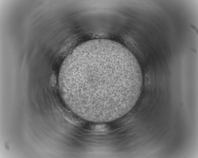 X0000102390173200808291431
