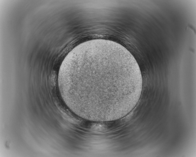 X0000102390174200808291431