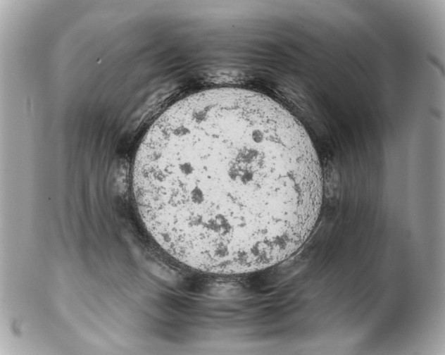 X0000102390175200808291431