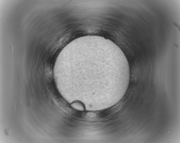 X0000102390176200808291431