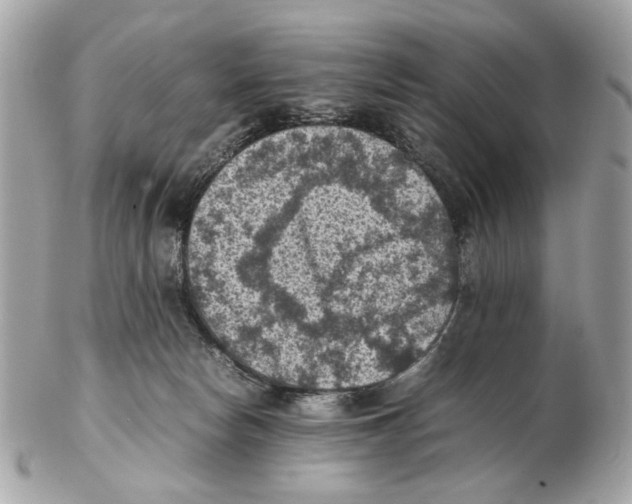 X0000102390178200808291431