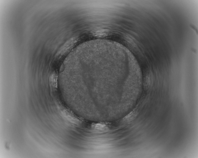 X0000102390180200808291431