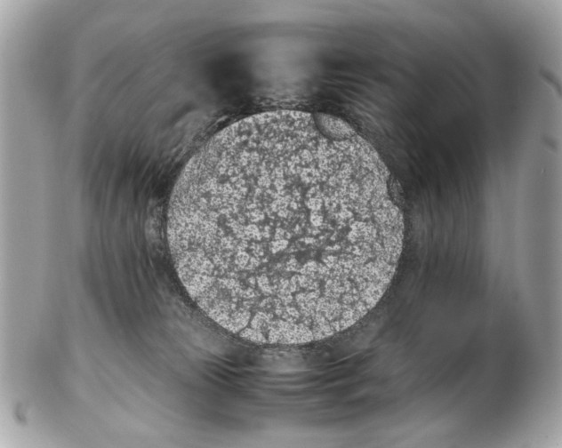 X0000102390181200808291431