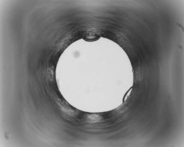 X0000102390183200808291431