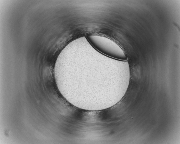 X0000102390184200808291431