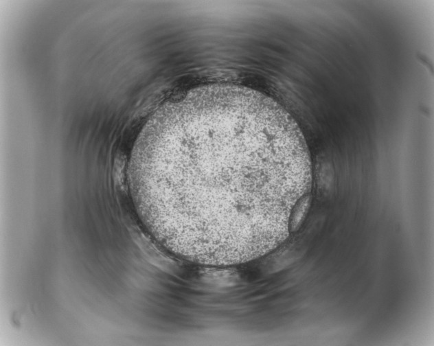 X0000102390185200808291431