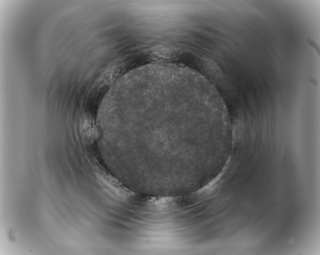 X0000102390186200808291431