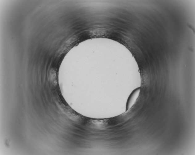 X0000102390187200808291431