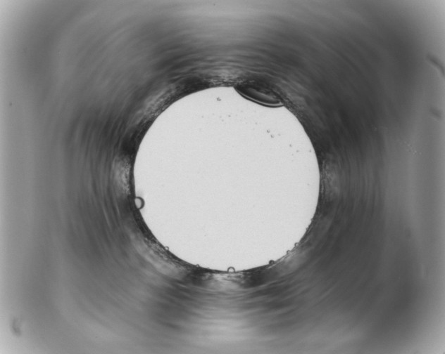 X0000102390188200808291431