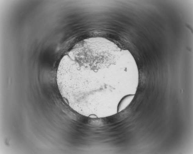 X0000102390189200808291431