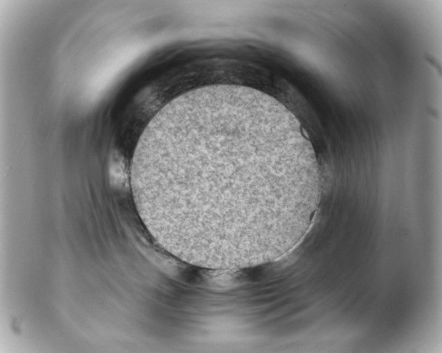 X0000102390191200808291431