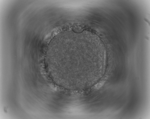 X0000102390192200808291431