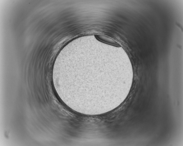 X0000102390193200808291431