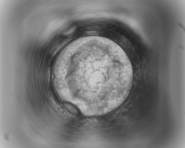 X0000102390194200808291431