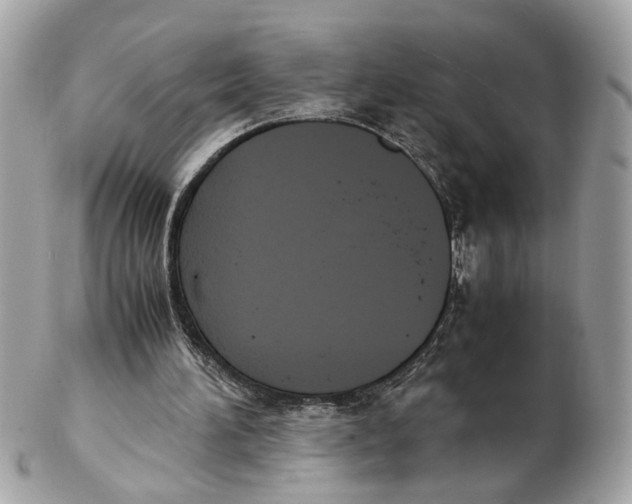 X0000102390196200808291431