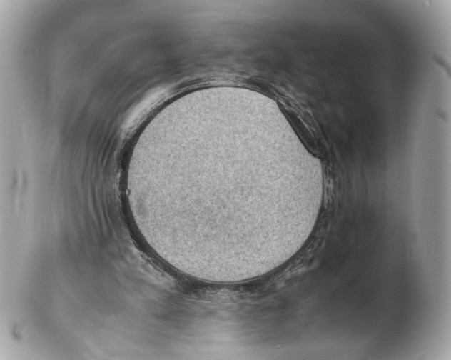 X0000102390197200808291431