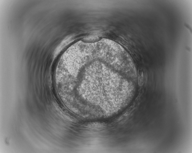 X0000102390198200808291431