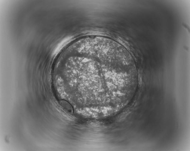 X0000102390199200808291431