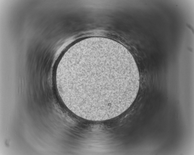 X0000102390200200808291431