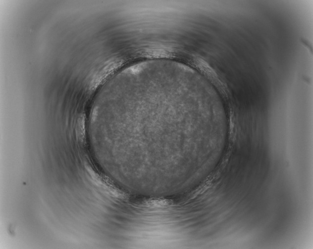 X0000102390202200808291430