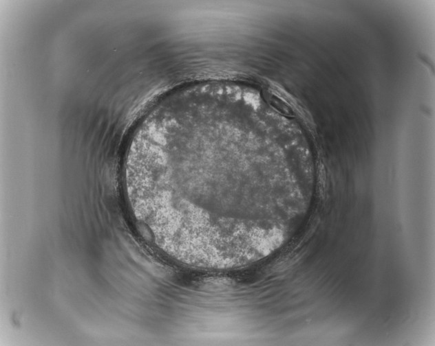 X0000102390203200808291430
