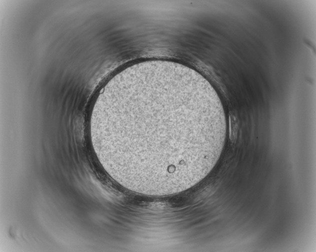 X0000102390204200808291430