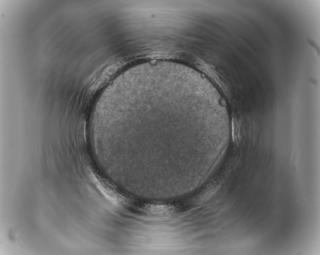 X0000102390205200808291430