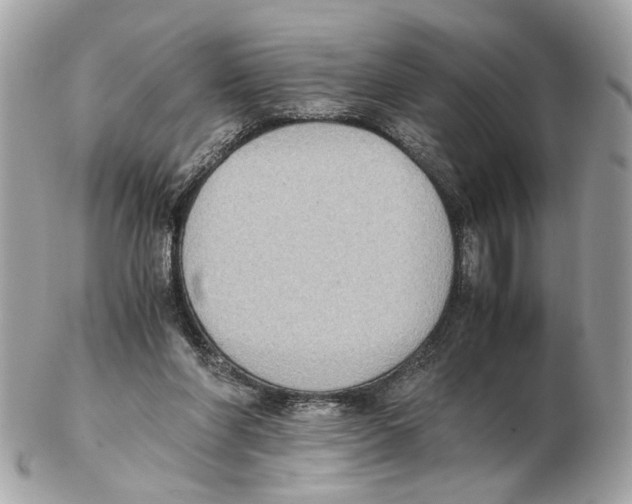 X0000102390206200808291430