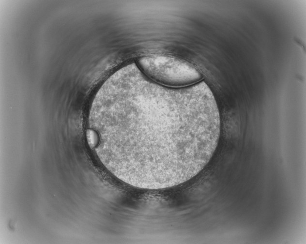 X0000102390207200808291430