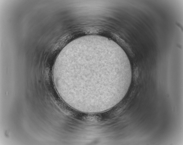 X0000102390209200808291430