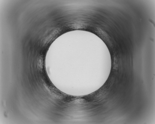 X0000102390210200808291430