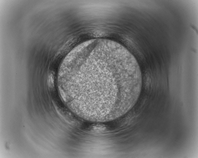 X0000102390214200808291430