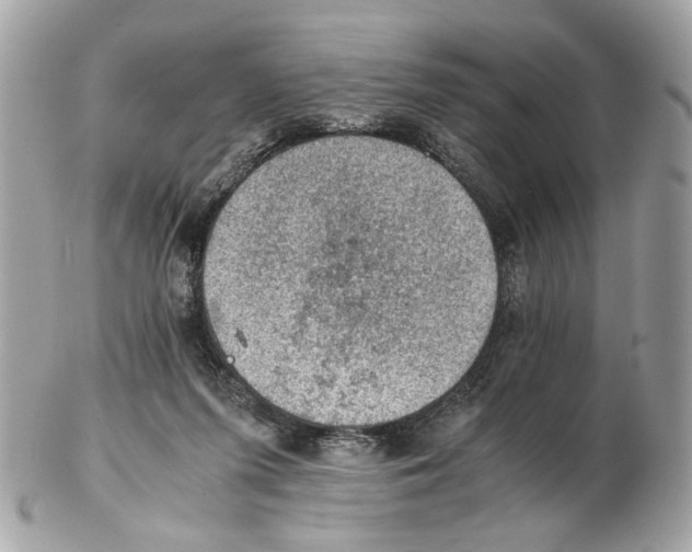 X0000102390215200808291430