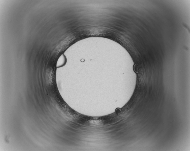 X0000102390216200808291430