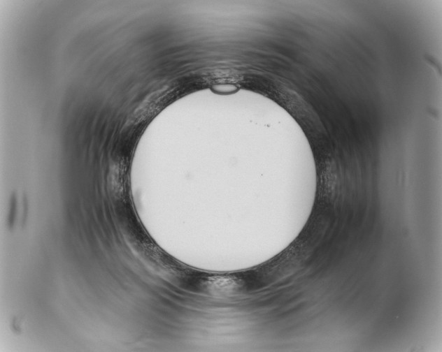X0000102390218200808291430