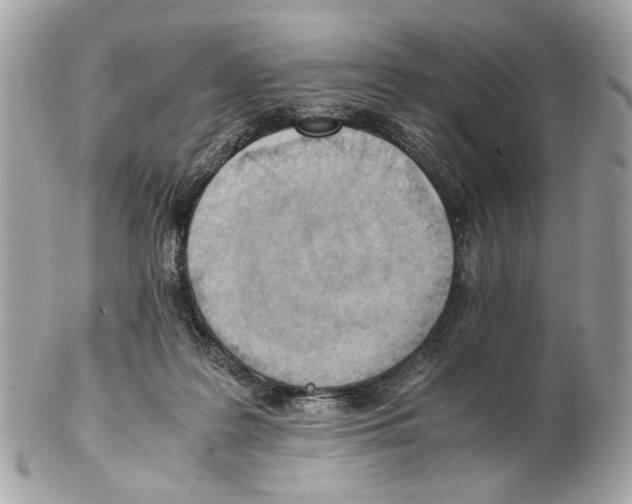 X0000102390219200808291430