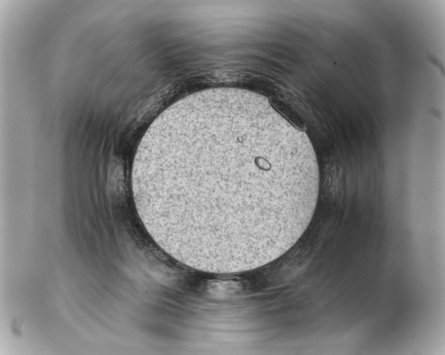 X0000102390220200808291430