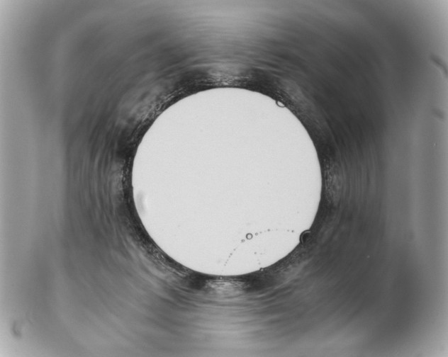 X0000102390221200808291430