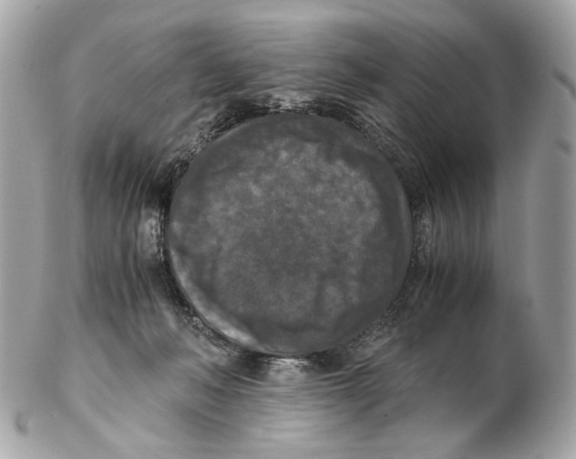 X0000102390222200808291430